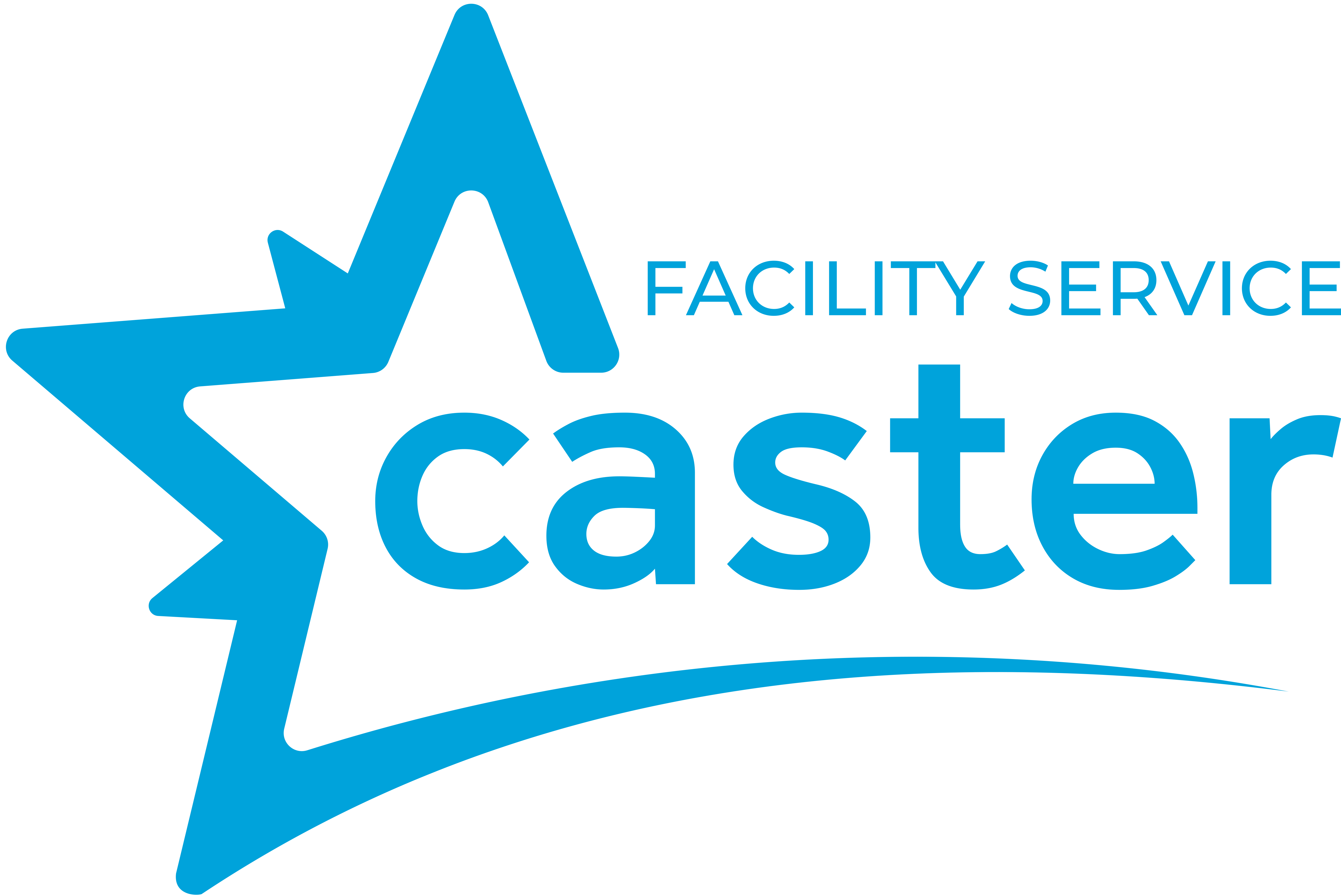 Caster Facility service